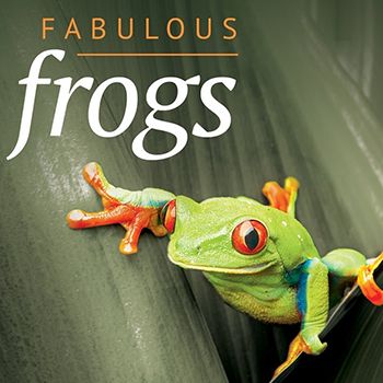 FROGS sq