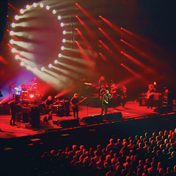 PinkFloyd 350