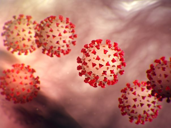 Coronavirus 603x452