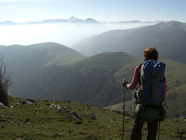 walkingthecamino 603x452