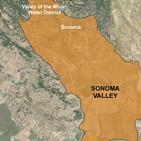 SVGSA Group
