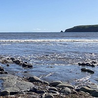 Ear to the Wild: The Sound of the Surf at Drakes Beach