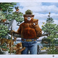 Prevent Wildfires