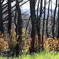 Pepperwood preserve