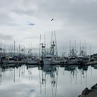 Fishing boats