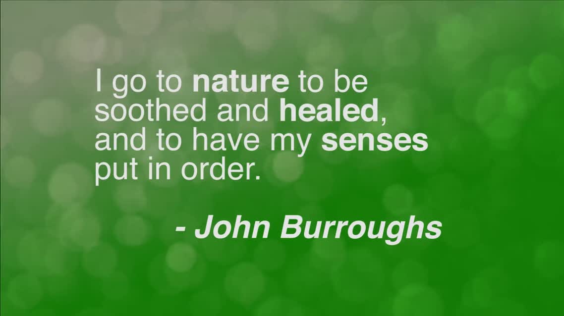 I go to nature